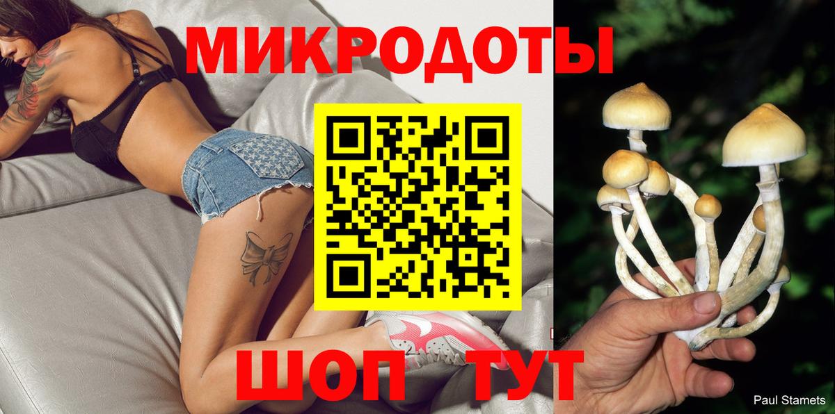 Псилоцибиновые грибы мицелий Гагарин