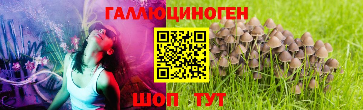 Галлюциногенные грибы Psilocybine cubensis  Вход с VPN  Гагарин 